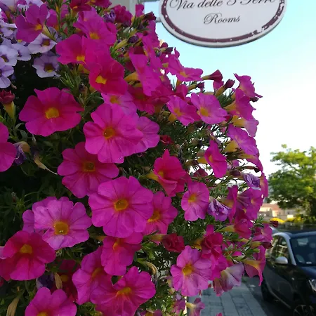 Via Delle 5 Terre 4* La Spezia