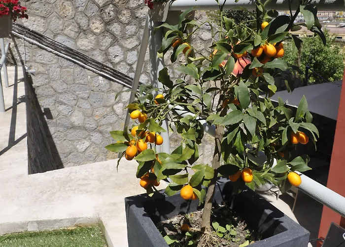 Πανσιόν Via Delle 5 Terre Λα Σπέτσια