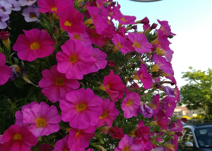 Via Delle 5 Terre 4* Λα Σπέτσια